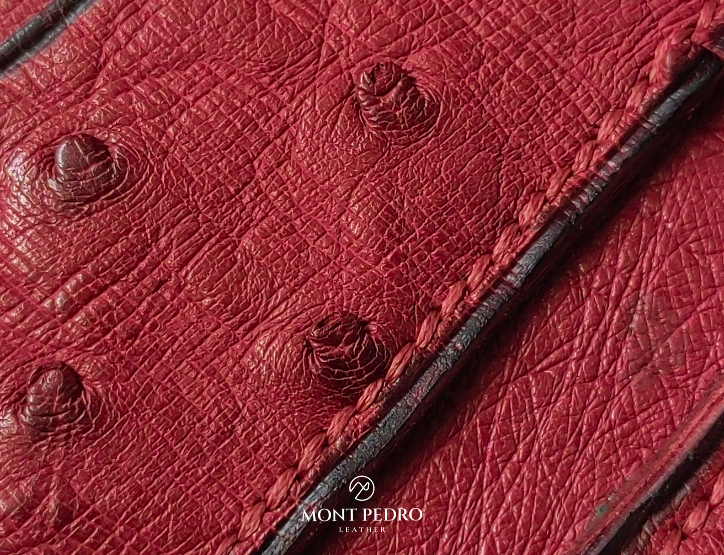 The Aurelia - Burgundy Crest Edition