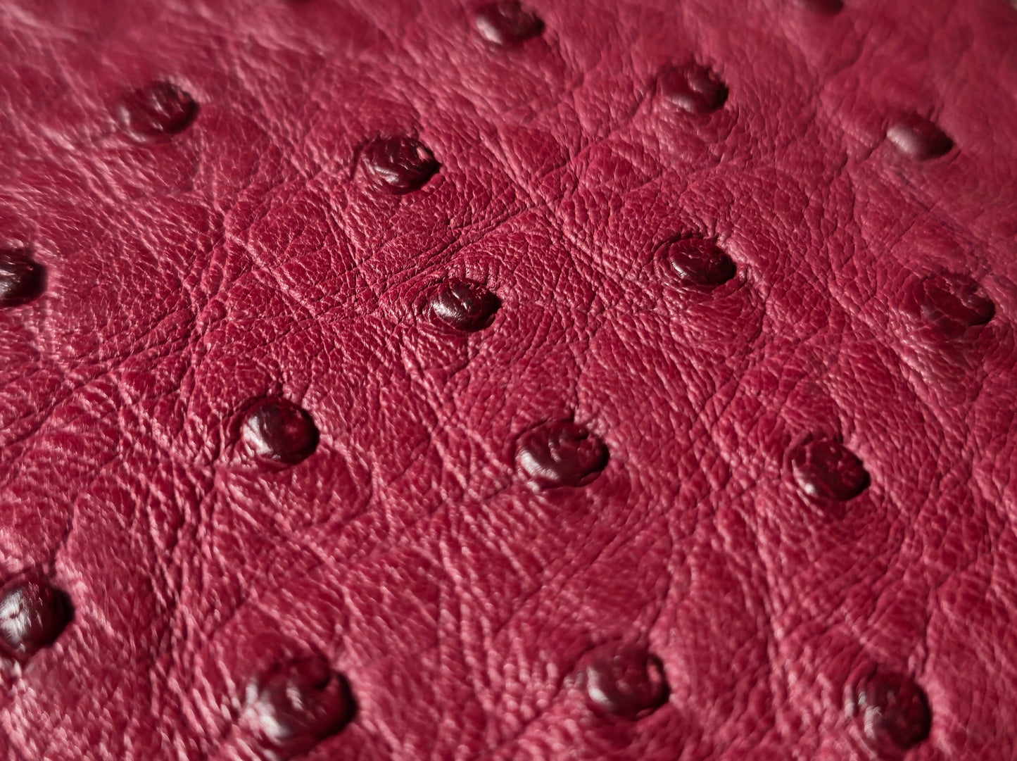 The Sentinel V2 - Burgundy Ostrich & Cognac